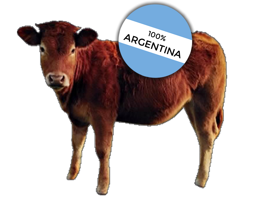 Carnes Aguilera S.A.S | Ventas por Mayor y Menor